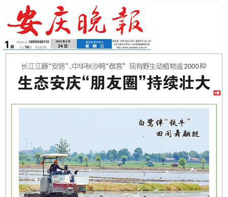 安慶晚報(bào)登報(bào)掛失遺失聲明公告